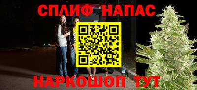 a pvp Дубна