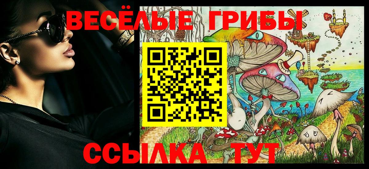 Псилоцибиновые грибы Magic Shrooms Магадан