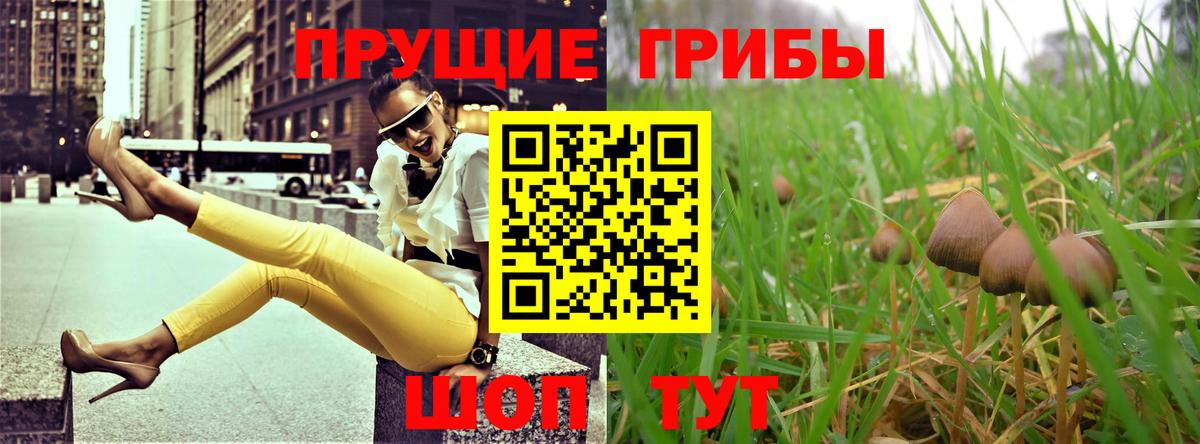 Магадан  Псилоцибиновые грибы Magic Shrooms  Псилоцибиновые грибы ЛСД  Вход с VPN 